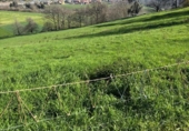 Non-developable land for sale on España, Socobio, ref: TR411147 photo