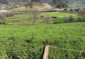 Non-developable land for sale on España, Socobio, ref: TR411147 photo