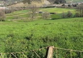 Non-developable land for sale on España, Socobio, ref: TR411147 photo