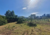 Land suitable for development for sale on España, Gondomar, ref: TR139987 photo