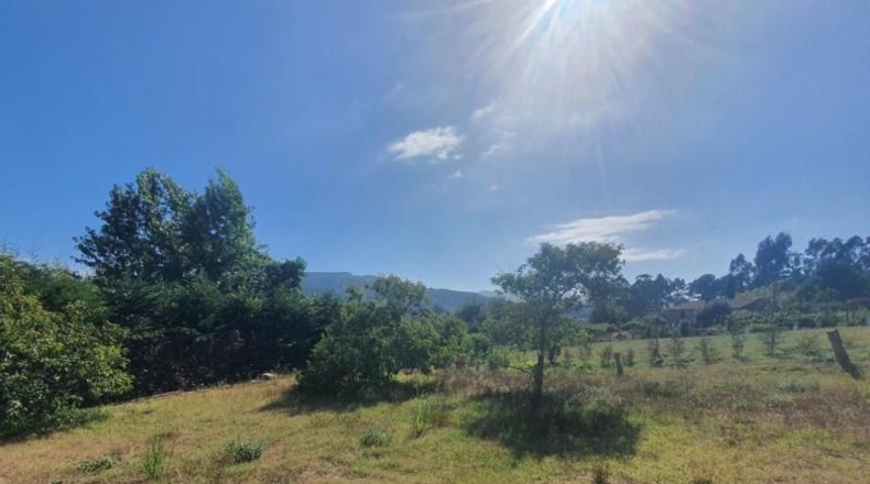Pontevedra - Gondomar - 506m2