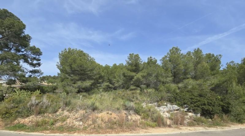 Valencia - Torrent - 1079m2