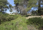 Urban land for sale on España, Torrent, ref: TR402456 photo