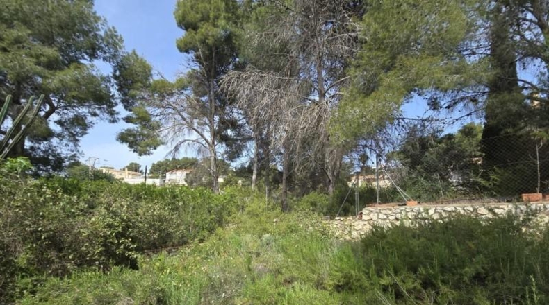 Valencia - Torrent - 1079m2