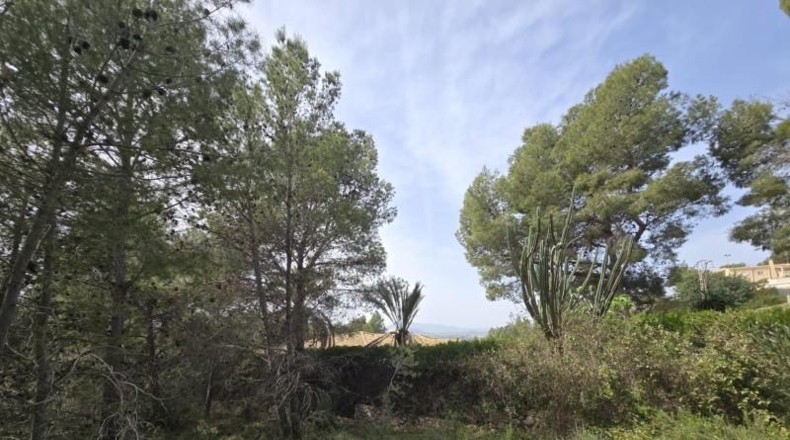 Valencia - Torrent - 1079m2