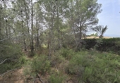 Urban land for sale on España, Torrent, ref: TR402456 photo