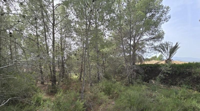 Valencia - Torrent - 1079m2