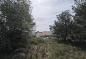 Urban land for sale on España, Torrent, ref: TR402456 photo