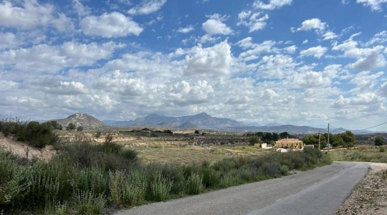 Alicante - Novelda - 15000m2