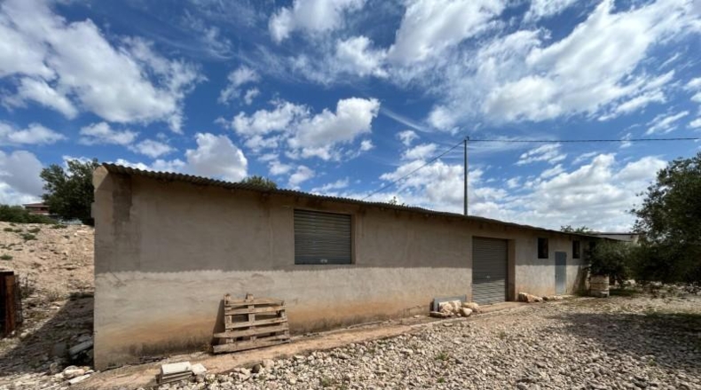 Alicante - Novelda - 15000m2