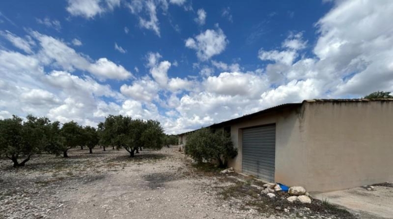 Alicante - Novelda - 15000m2