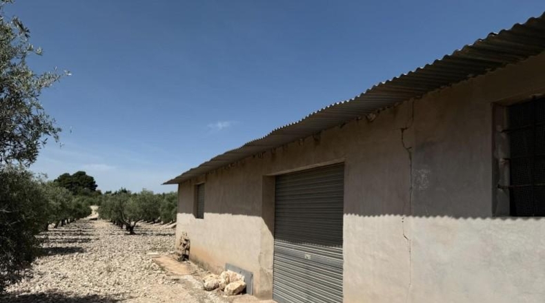 Alicante - Novelda - 15000m2