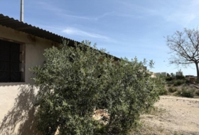 Foto 14
