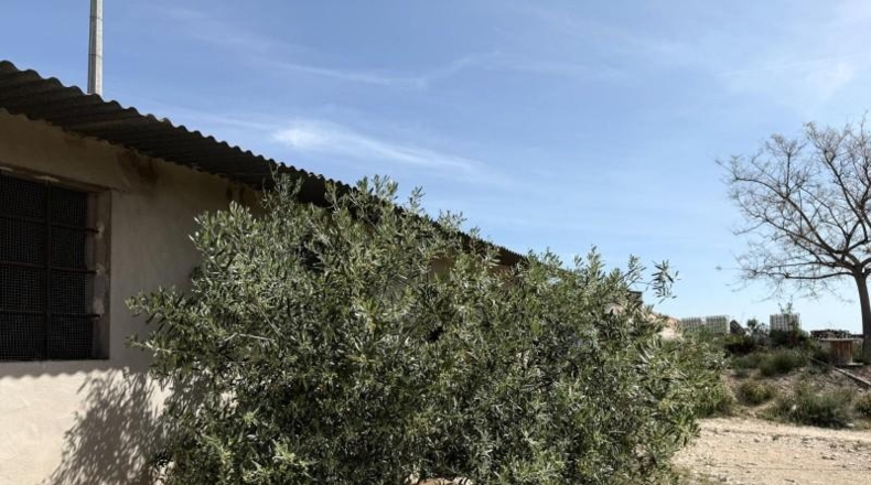 Alicante - Novelda - 15000m2