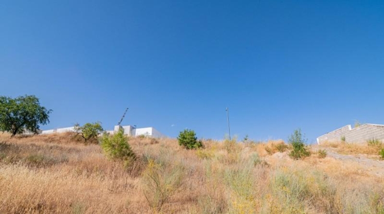 Granada - La Zubia - 513m2
