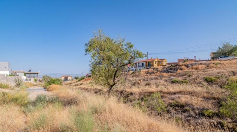 Granada - La Zubia - 513m2