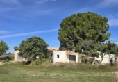 Casa de camp amb terreny en venda a la España, Llíria, ref.: TR390124 foto