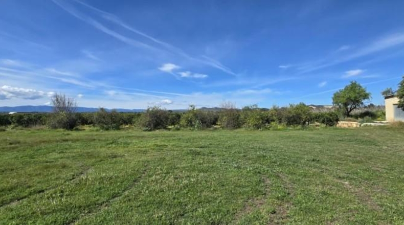 Valencia - Лирия - 36000m2