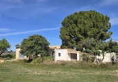 Casa de camp amb terreny en venda a la España, Llíria, ref.: TR390124 foto
