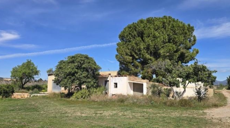 Valencia - Лирия - 36000m2