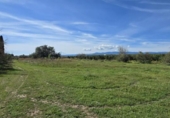 Casa de camp amb terreny en venda a la España, Llíria, ref.: TR390124 foto