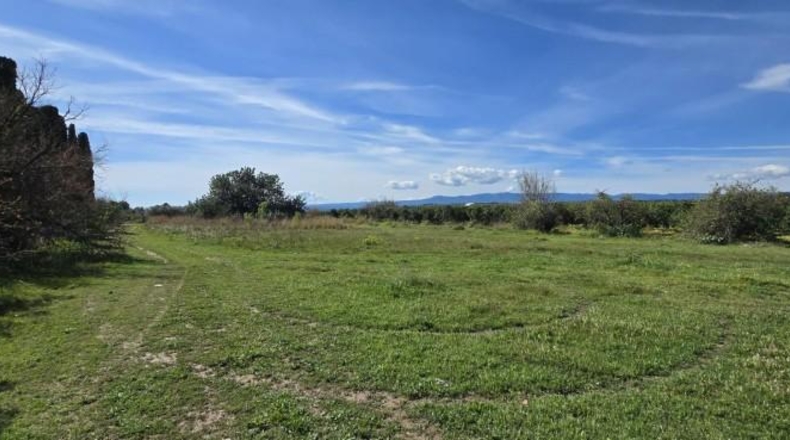 Valencia - Лирия - 36000m2