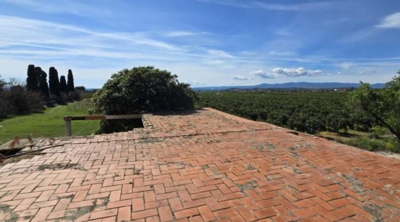 Valencia - Лирия - 36000m2