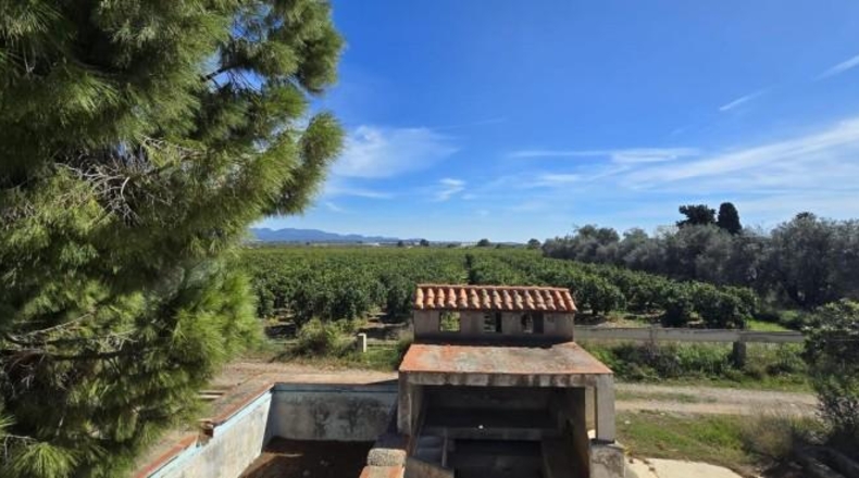 Valencia - Лирия - 36000m2