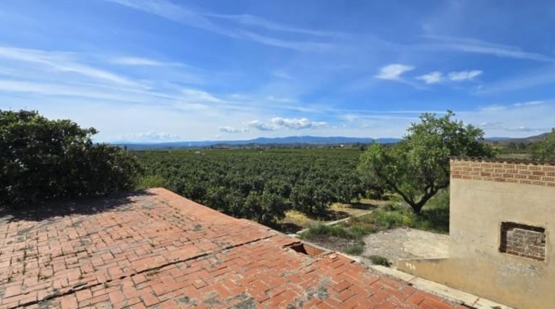 Valencia - Лирия - 36000m2