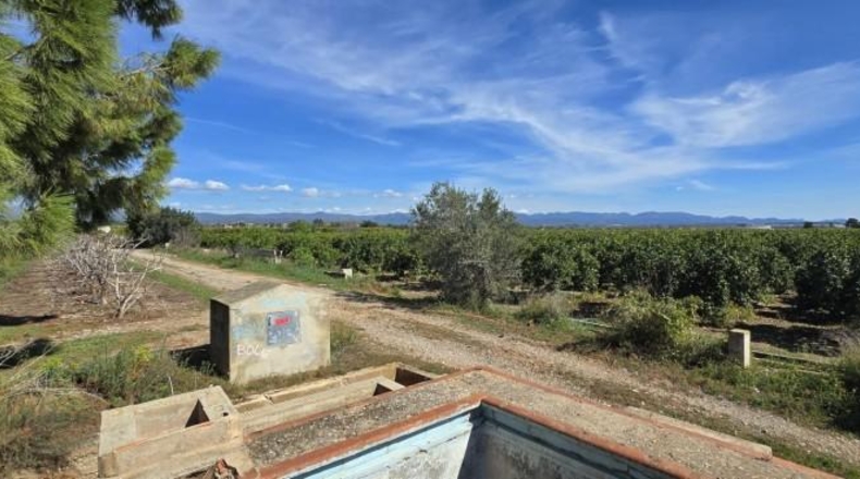 Valencia - Лирия - 36000m2