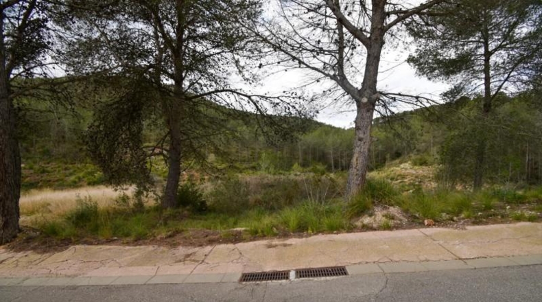 Barcelona - Olivella - 1042m2