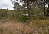 Urban land for sale on España, Olivella, ref: TR389122 photo