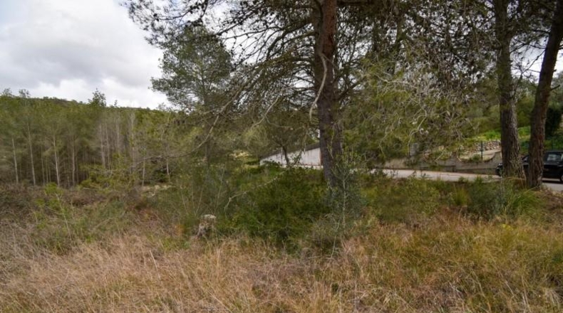 Barcelona - Olivella - 1042m2