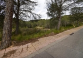 Urban land for sale on España, Olivella, ref: TR389122 photo