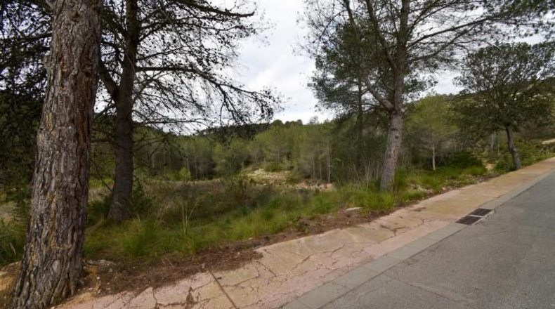 Barcelona - Olivella - 1042m2