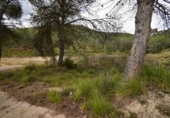 Urban land for sale on España, Olivella, ref: TR389122 photo