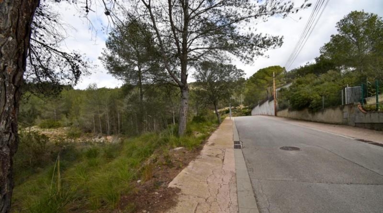 Barcelona - Olivella - 1042m2