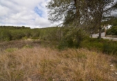 Urban land for sale on España, Olivella, ref: TR389122 photo