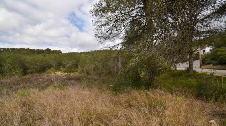 Barcelona - Olivella - 1042m2