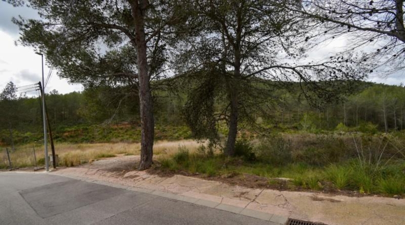 Barcelona - Olivella - 1042m2