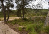 Urban land for sale on España, Olivella, ref: TR389122 photo