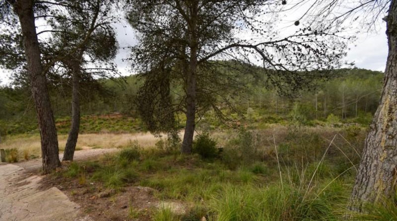 Barcelona - Olivella - 1042m2