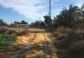 Terreny no urbanitzable en venda a la España, Crevillent, ref.: TR411174 foto