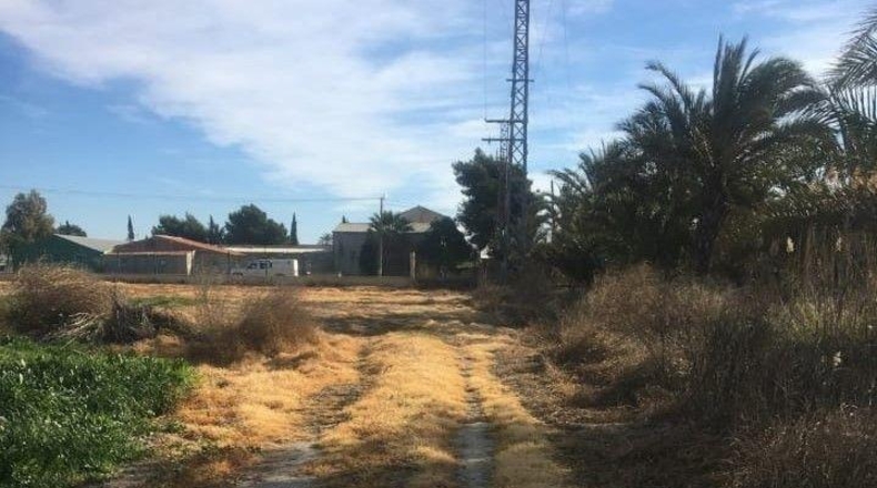 Alicante - Crevillente - 19019m2