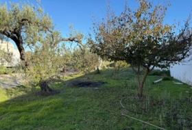 Salteras 1229&nbsp;m² 