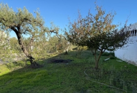 Salteras 1229&nbsp;m² 