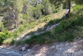Foto 9