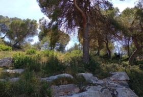 Foto 12