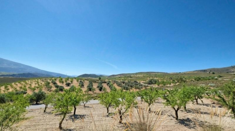 Granada - Albuñuelas - 4752m2