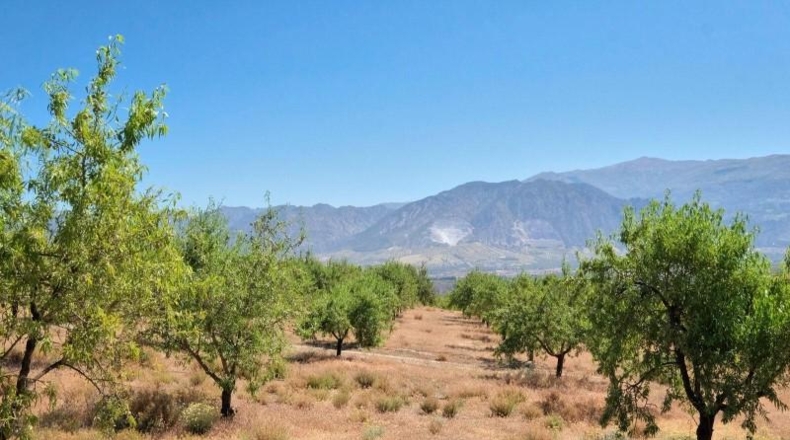 Granada - Albuñuelas - 4752m2